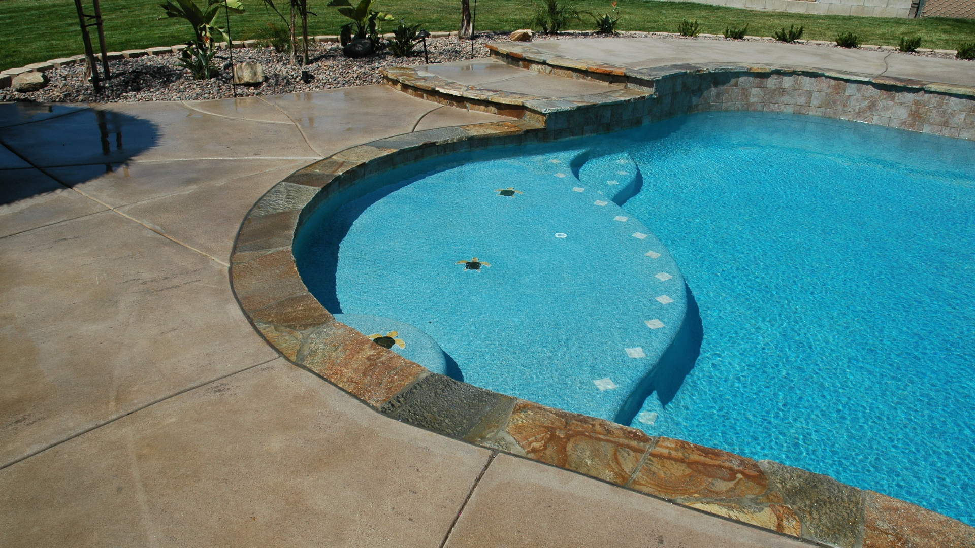Luxury custom pool with tanning ledge and spa features in resort-style backyard design
